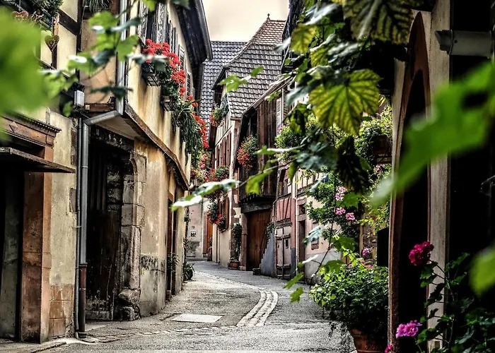 Paul & Pia By Collection - Welcome