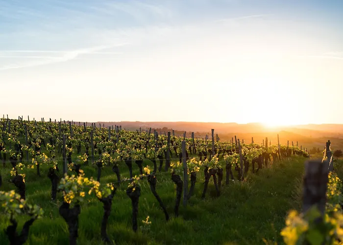 فندق Paul & Pia By Collection - Welcome